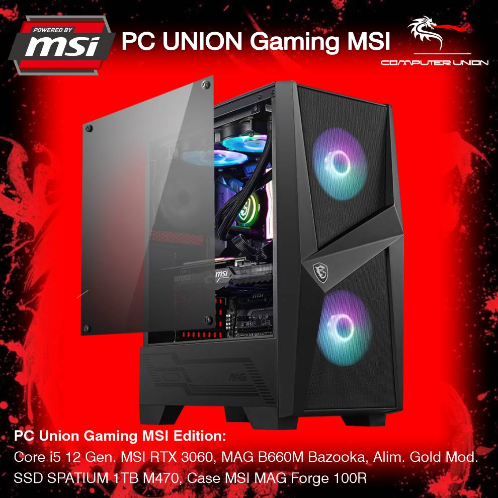 pc 06 msi.jpg
